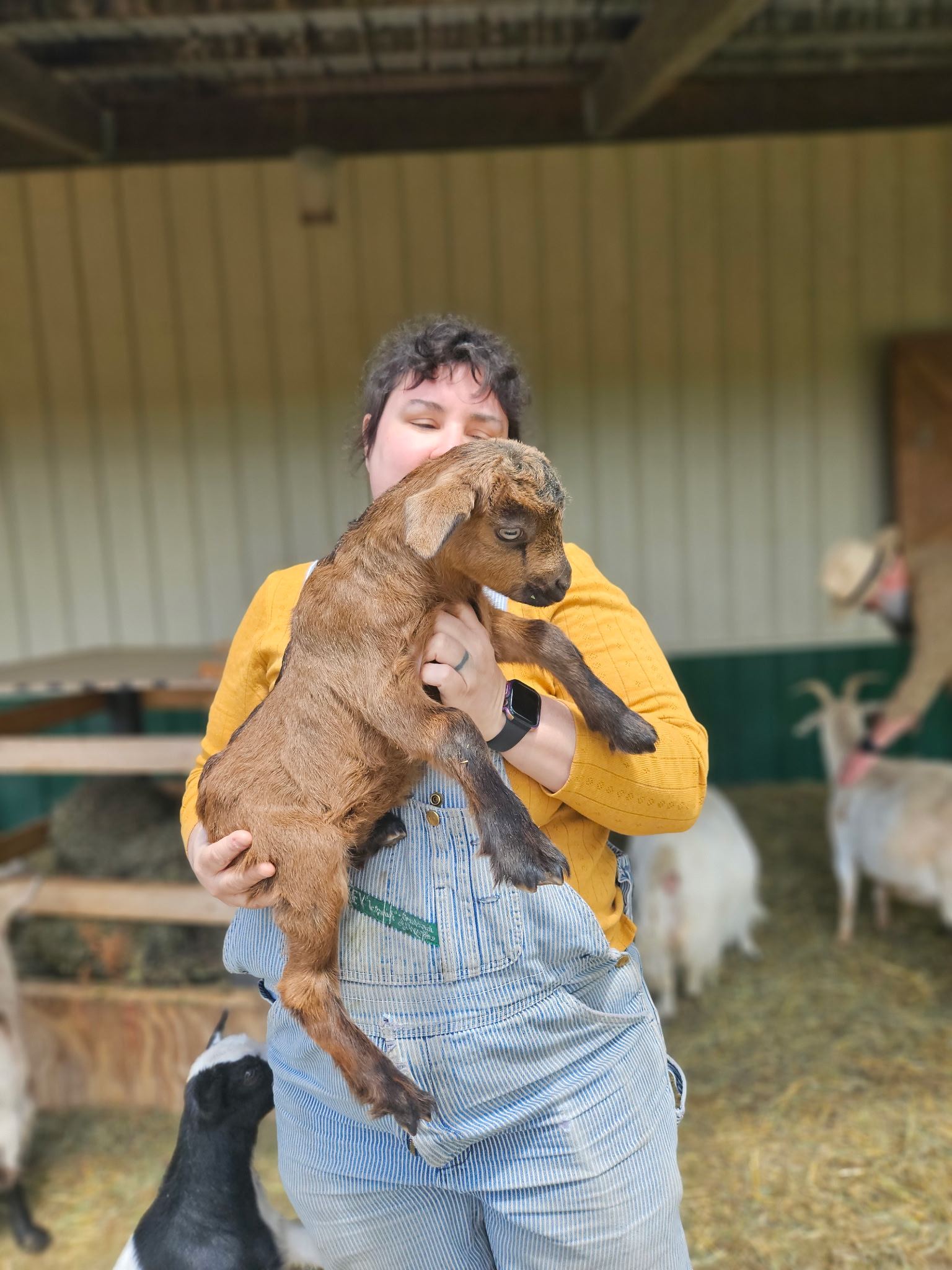 woman holding brown baby goat