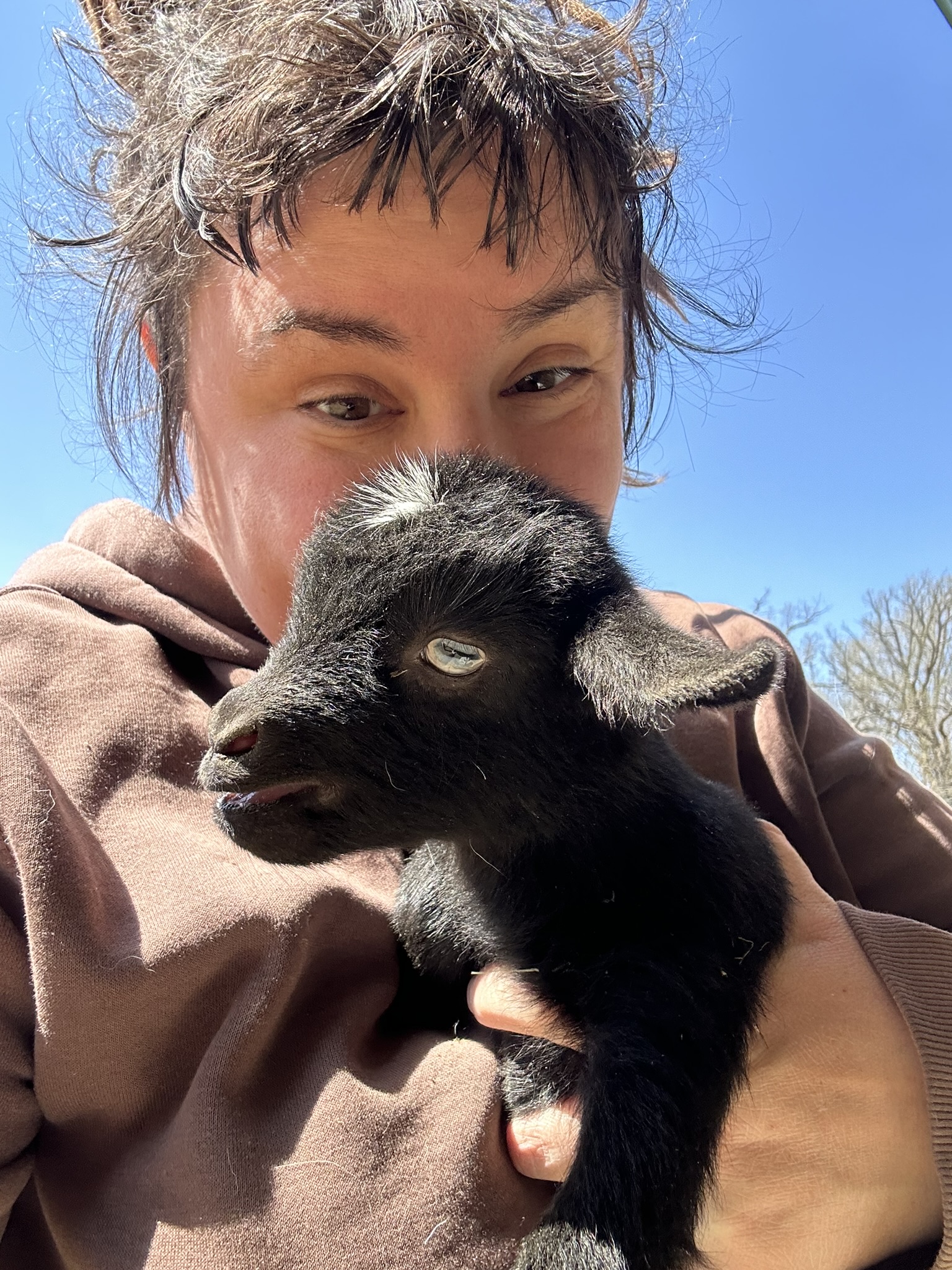 woman holding baby goat this has black hair blue eyes