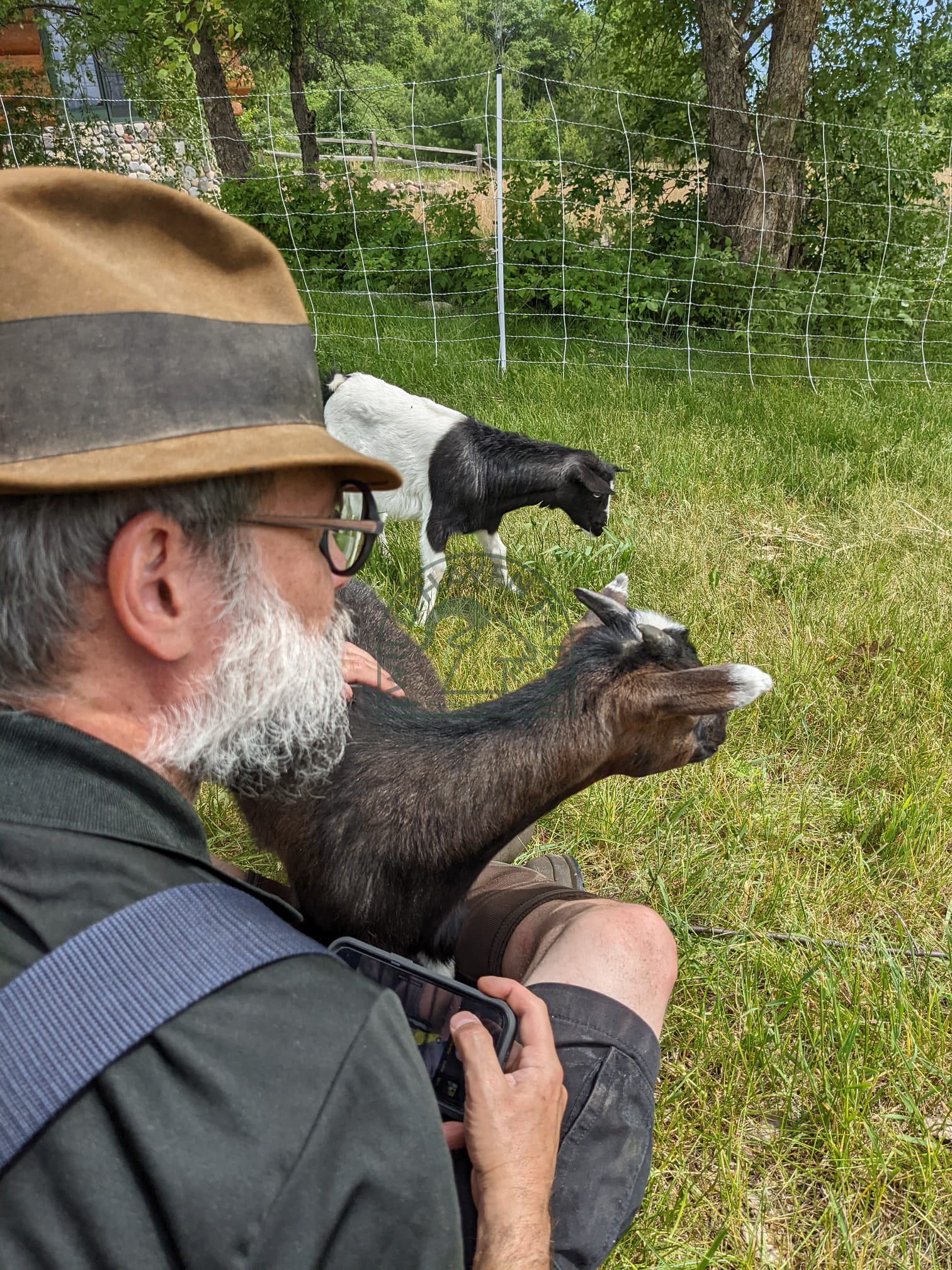 George Apple Almond 2022 at Wild Haven Farm