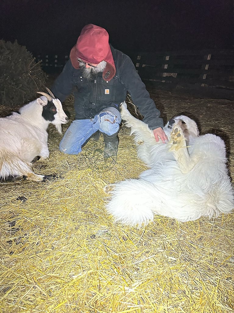 George Pets Bailey Enlil 2024 02 13 at Wild Haven Farm