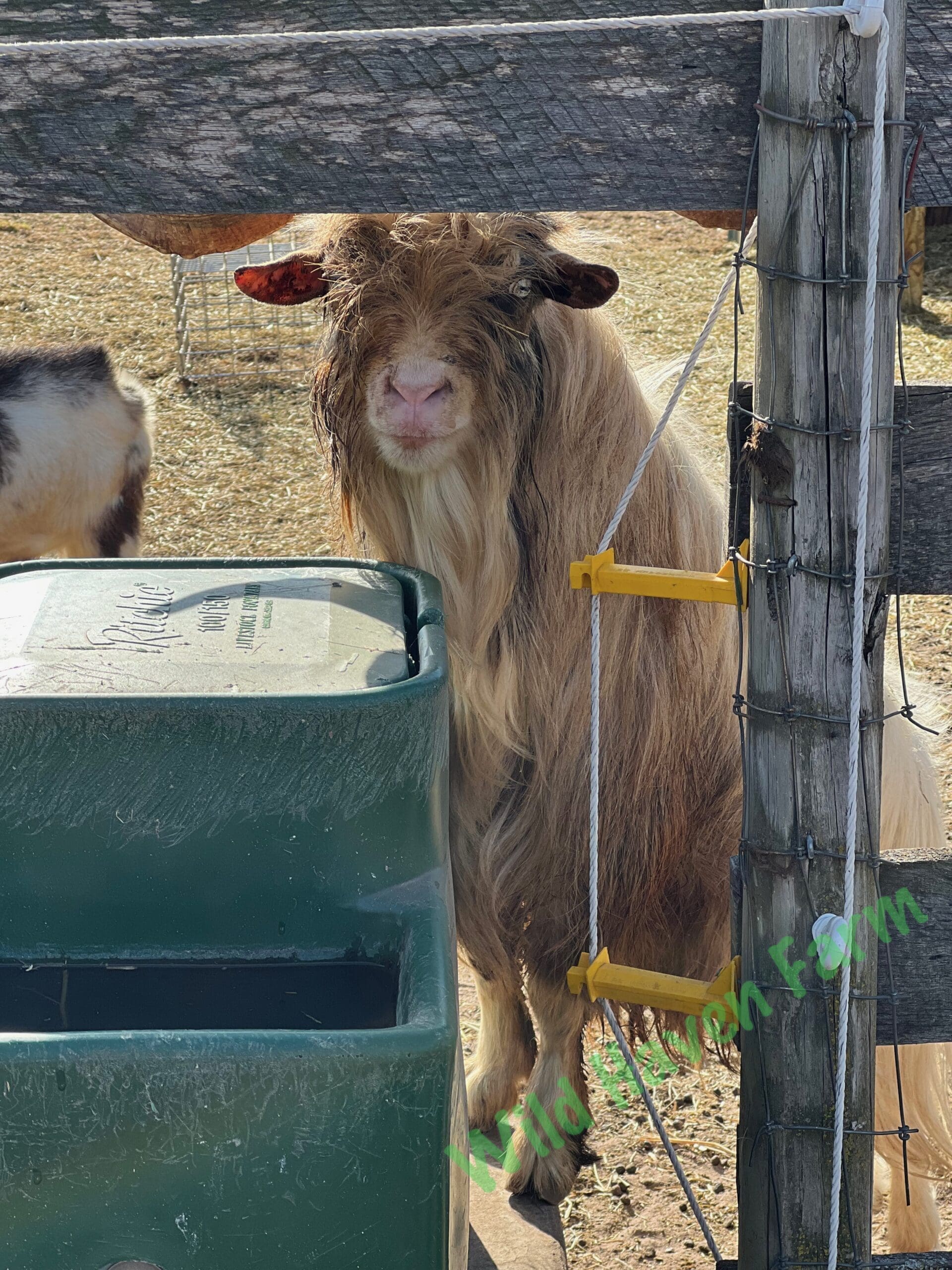 Sky at Wild Haven Farm