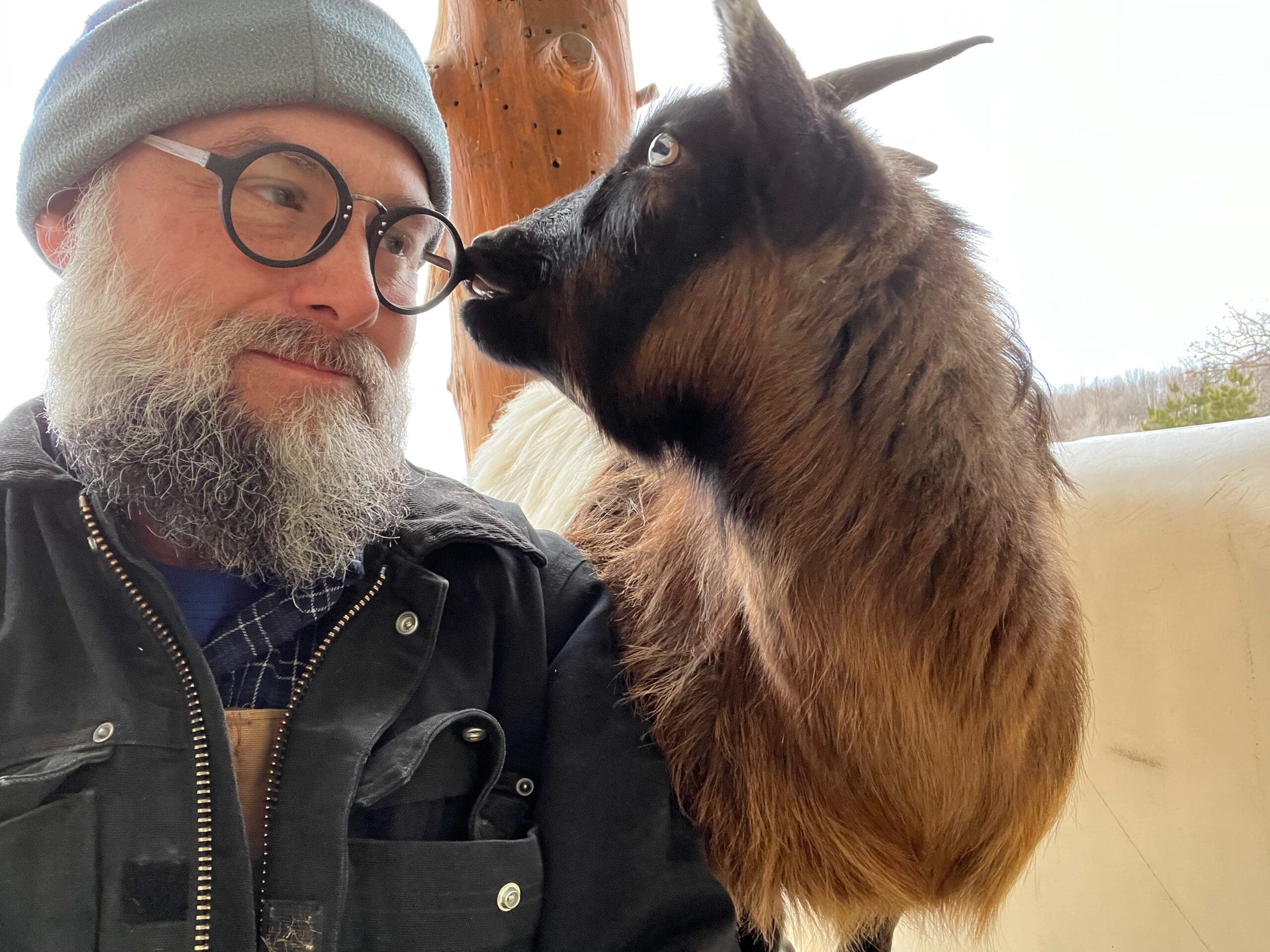 Jubilee and George 2023 02 14 at Wild Haven Farm