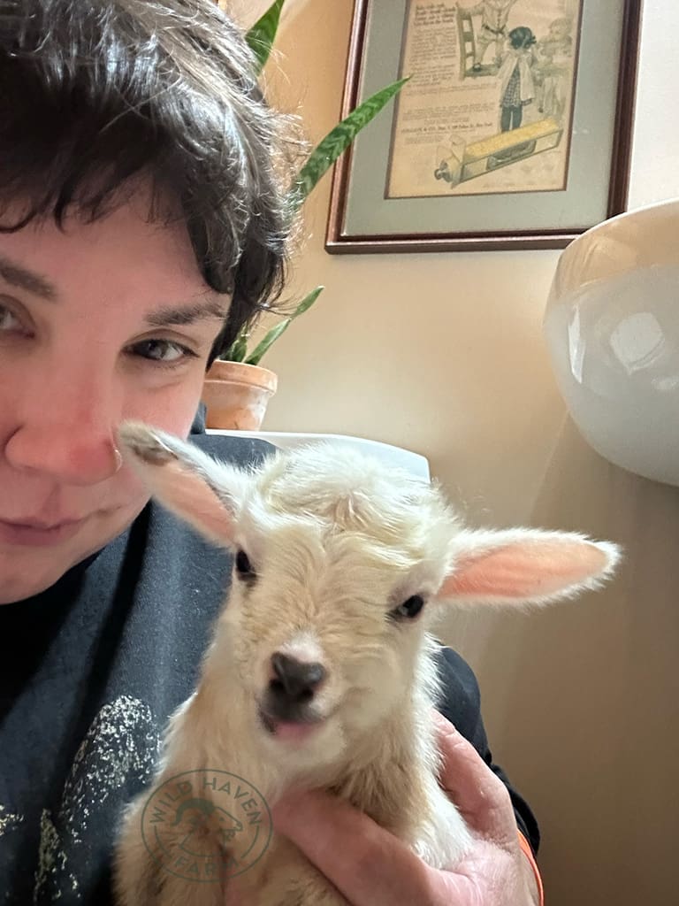 Valentina Mandi 2014 02 14 at Wild Haven Farm